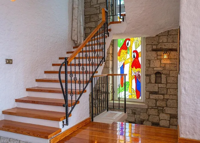 Fener Burnunda Denize Sifir Orjinaltas Malikane Villa